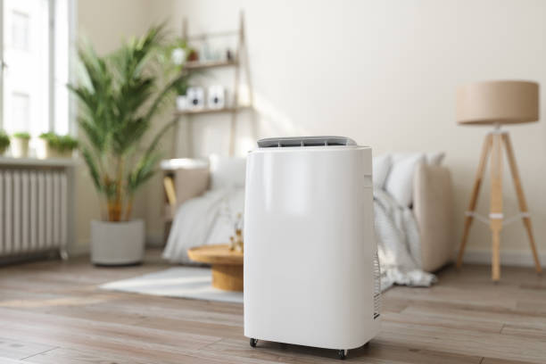 Best Ductless HVAC repair  in St Augustine, FL